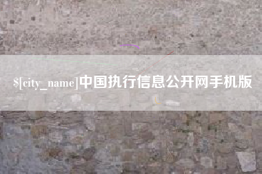 天津中国执行信息公开网手机版