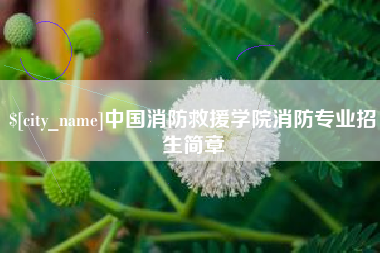 天津中国消防救援学院消防专业招生简章