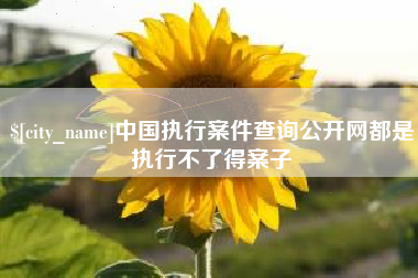 天津中国执行案件查询公开网都是执行不了得案子
