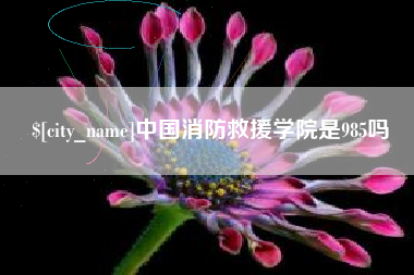 天津中国消防救援学院是985吗