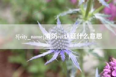 天津消防ccc认证什么意思
