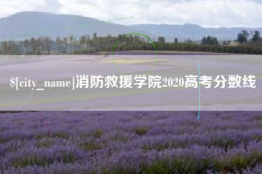 天津消防救援学院2020高考分数线