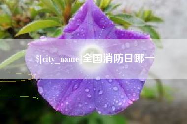 天津全国消防日哪一