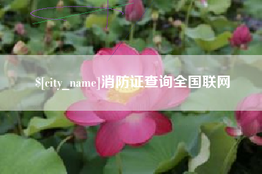 天津消防证查询全国联网