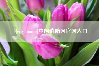 天津中国消防网官网入口