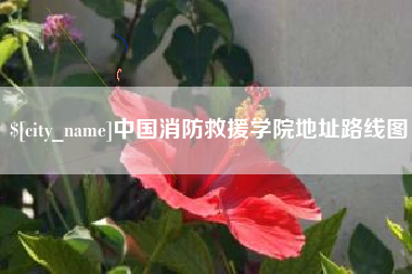 天津中国消防救援学院地址路线图