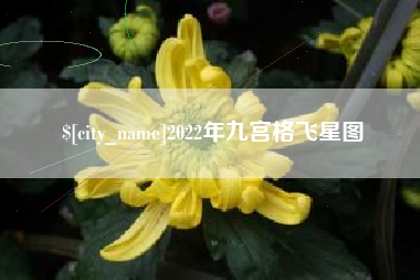 天津2022年九宫格飞星图