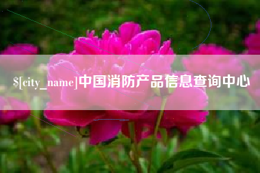 天津中国消防产品信息查询中心