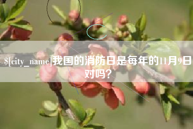 天津我国的消防日是每年的11月9日对吗？