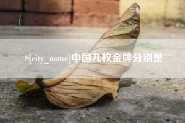 天津中国九枚金牌分别是