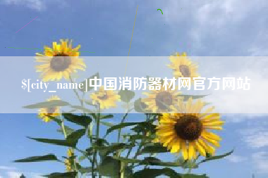 天津中国消防器材网官方网站