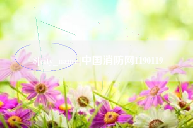 天津中国消防网1190119