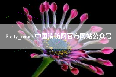 天津中国消防网官方网站公众号