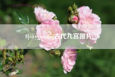 天津古代九宫图片