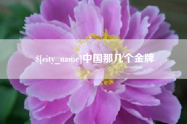 天津中国那几个金牌