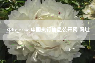 天津中国执行信息公开网 网址