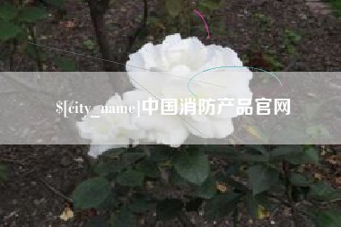 天津中国消防产品官网