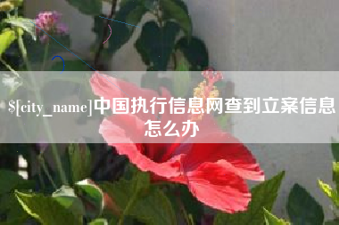 天津中国执行信息网查到立案信息怎么办