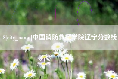 天津中国消防救援学院辽宁分数线
