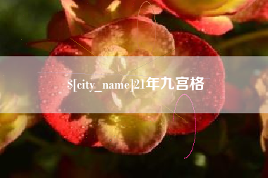 天津21年九宫格