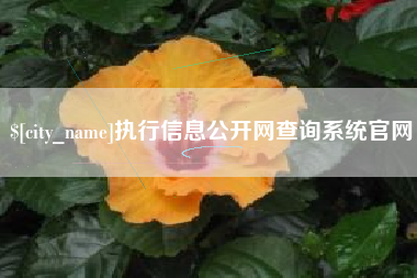 天津执行信息公开网查询系统官网
