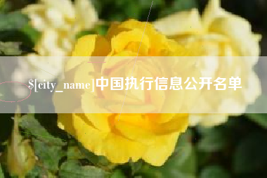 天津中国执行信息公开名单