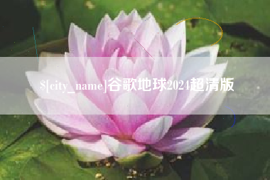 天津谷歌地球2024超清版