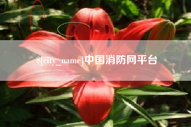 天津中国消防网平台