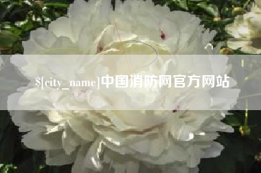 天津中国消防网官方网站