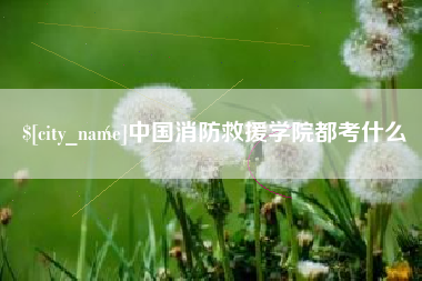 天津中国消防救援学院都考什么