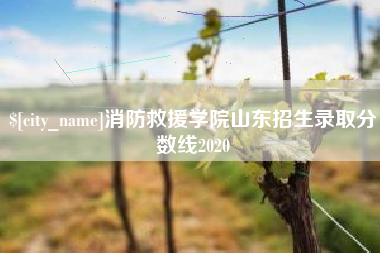 天津消防救援学院山东招生录取分数线2020