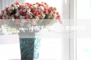 天津中国失信执行人查询官网