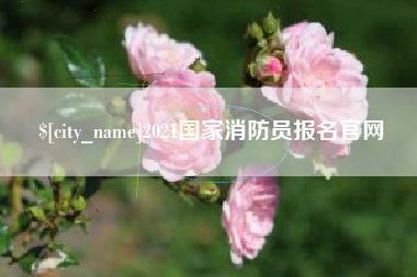 天津2021国家消防员报名官网