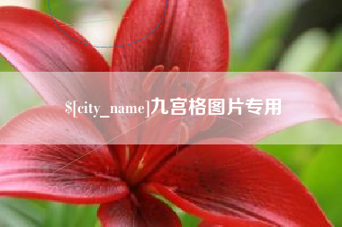 天津九宫格图片专用