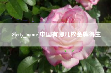 天津中国有哪几枚金牌得主