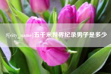 天津五千米世界纪录男子是多少