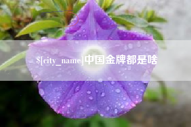 天津中国金牌都是啥