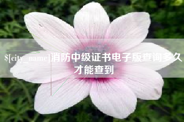 天津消防中级证书电子版查询多久才能查到