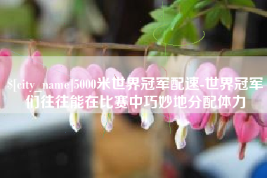 天津5000米世界冠军配速-世界冠军们往往能在比赛中巧妙地分配体力