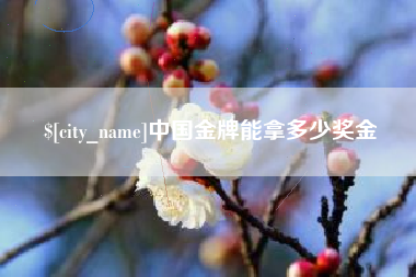 天津中国金牌能拿多少奖金