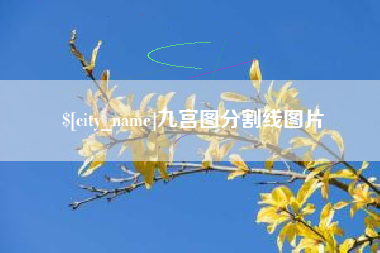 天津九宫图分割线图片