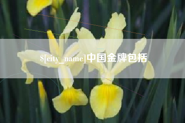 天津中国金牌包括