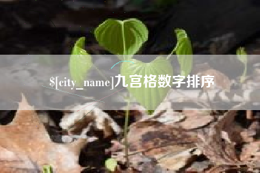 天津九宫格数字排序
