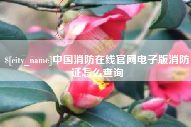 天津中国消防在线官网电子版消防证怎么查询