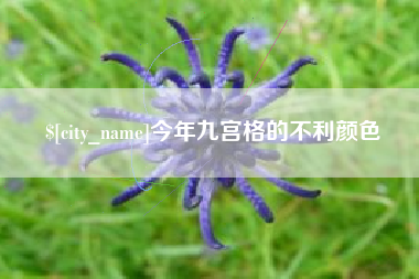 天津今年九宫格的不利颜色