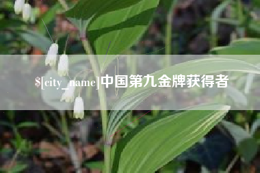 天津中国第九金牌获得者