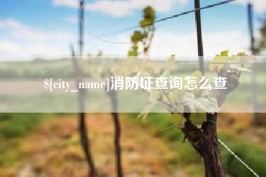 天津消防证查询怎么查