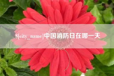 天津中国消防日在哪一天