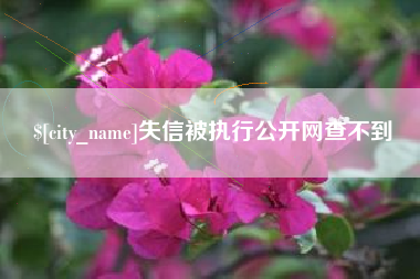 天津失信被执行公开网查不到