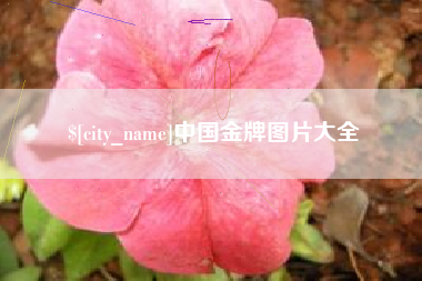 天津中国金牌图片大全